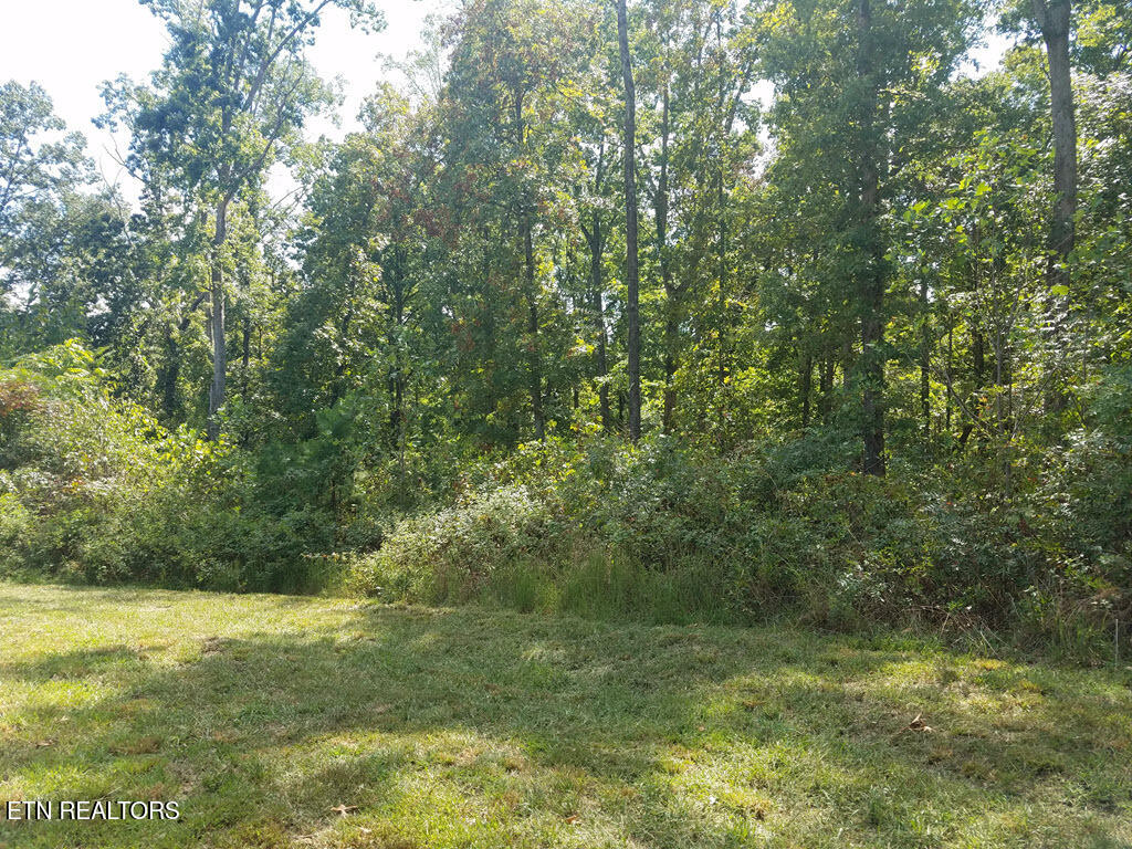 Lot 136 Tumbleweed Trail Rutledge, TN 37861 - Photo 11 of 26 Lot 136 Tumbleweed Trl - 11