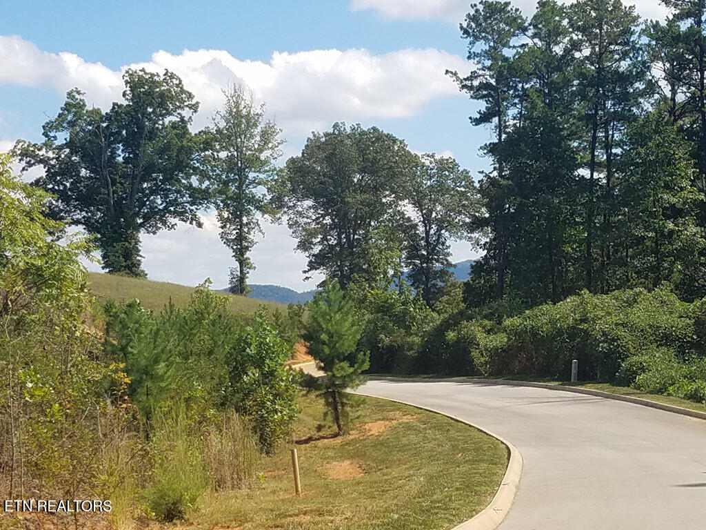 Lot 136 Tumbleweed Trail Rutledge, TN 37861 - Photo 12 of 26 Lot 136 Tumbleweed Trl - 12