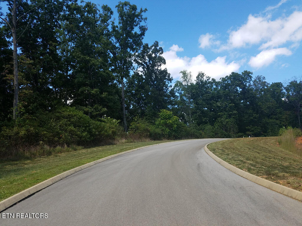 Lot 136 Tumbleweed Trail Rutledge, TN 37861 - Photo 14 of 26 Lot 136 Tumbleweed Trl - 14