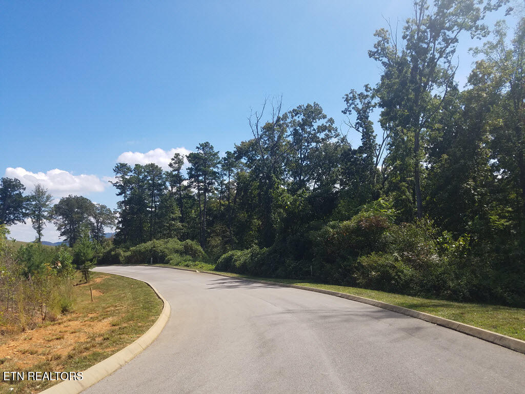 Lot 136 Tumbleweed Trail Rutledge, TN 37861 - Photo 18 of 26 Lot 136 Tumbleweed Trl - 18