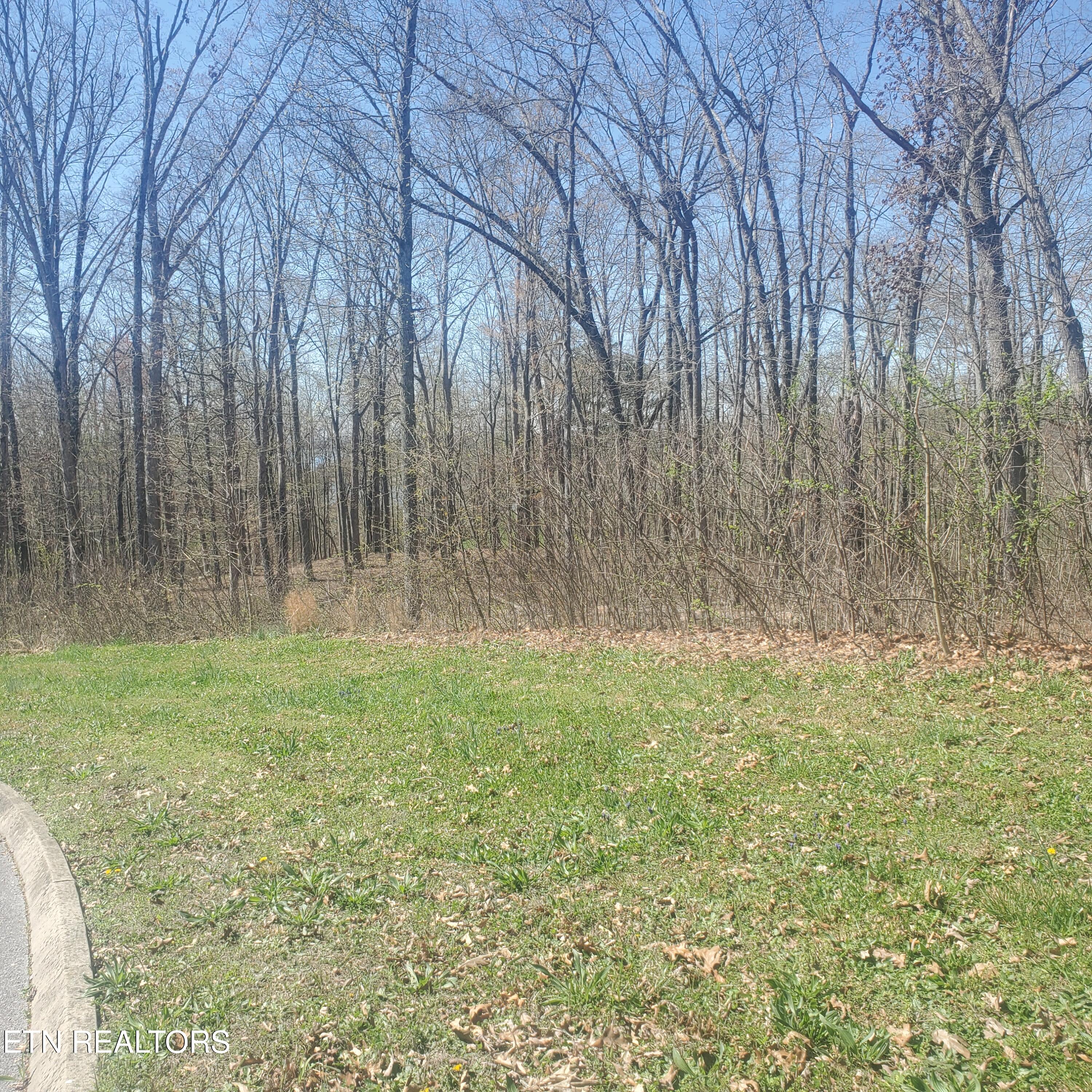 Lot 136 Tumbleweed Trail Rutledge, TN 37861 - Photo 4 of 26 Lot 136 Tumbleweed Trl - 4