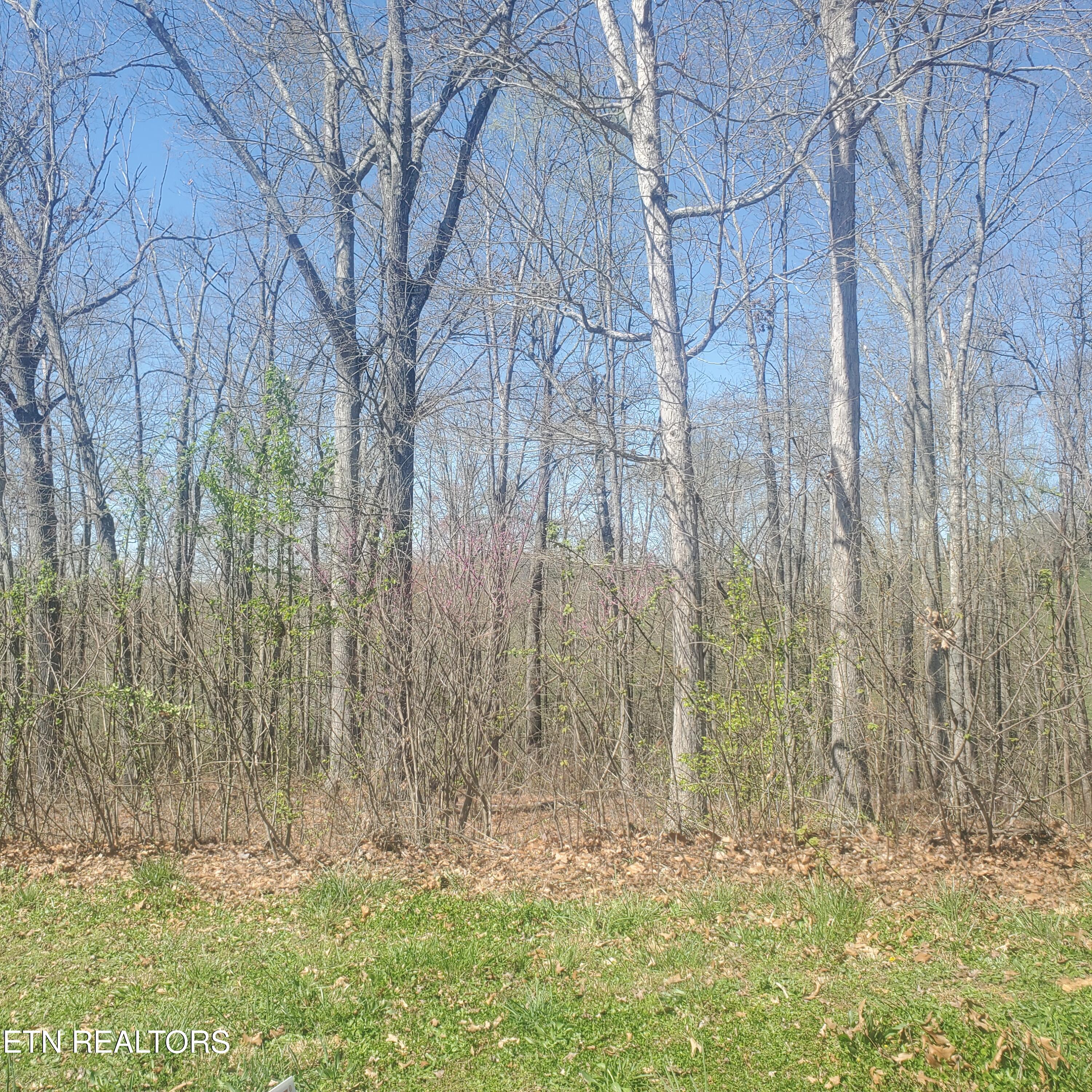 Lot 136 Tumbleweed Trail Rutledge, TN 37861 - Photo 5 of 26 Lot 136 Tumbleweed Trl - 5