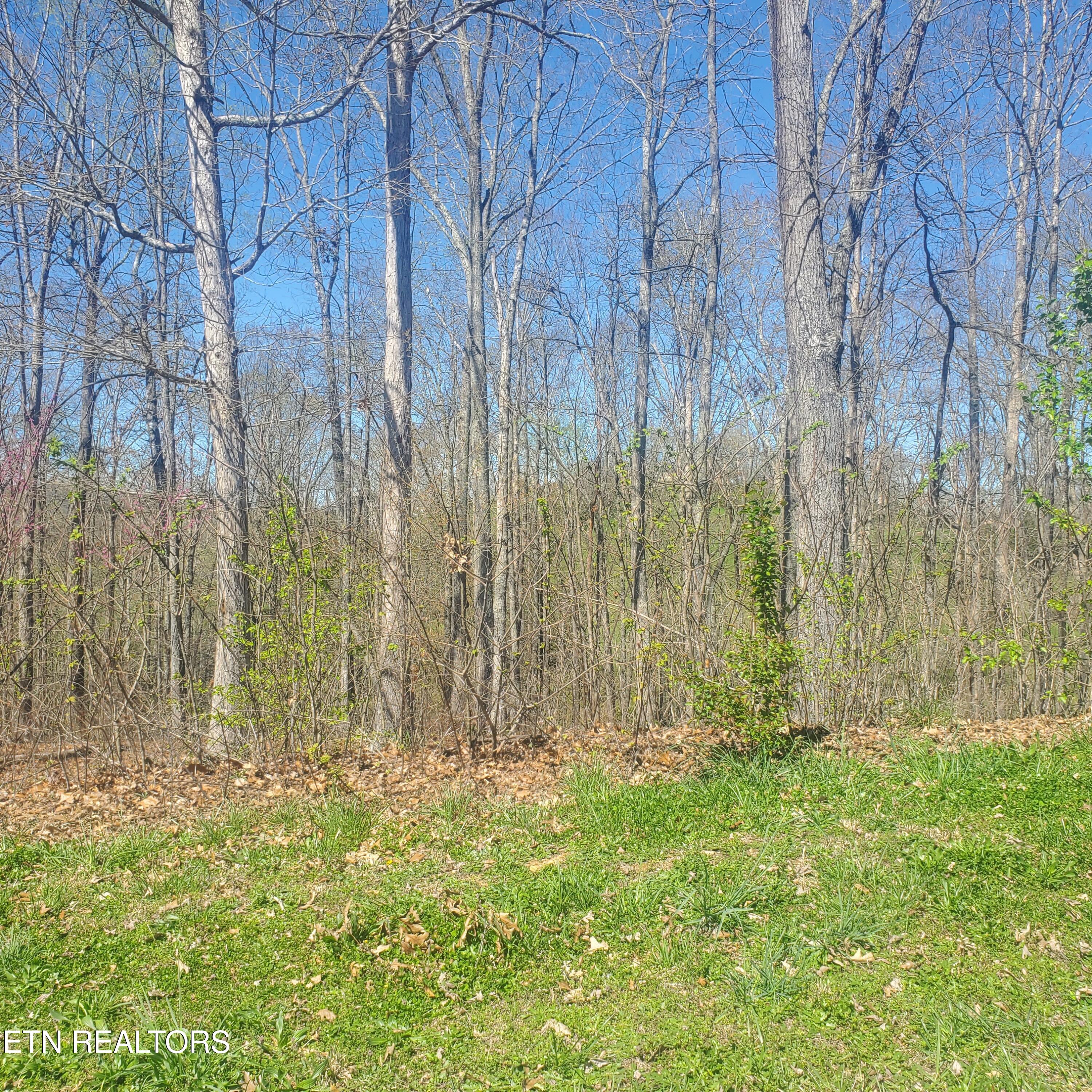 Lot 136 Tumbleweed Trail Rutledge, TN 37861 - Photo 6 of 26 Lot 136 Tumbleweed Trl - 6