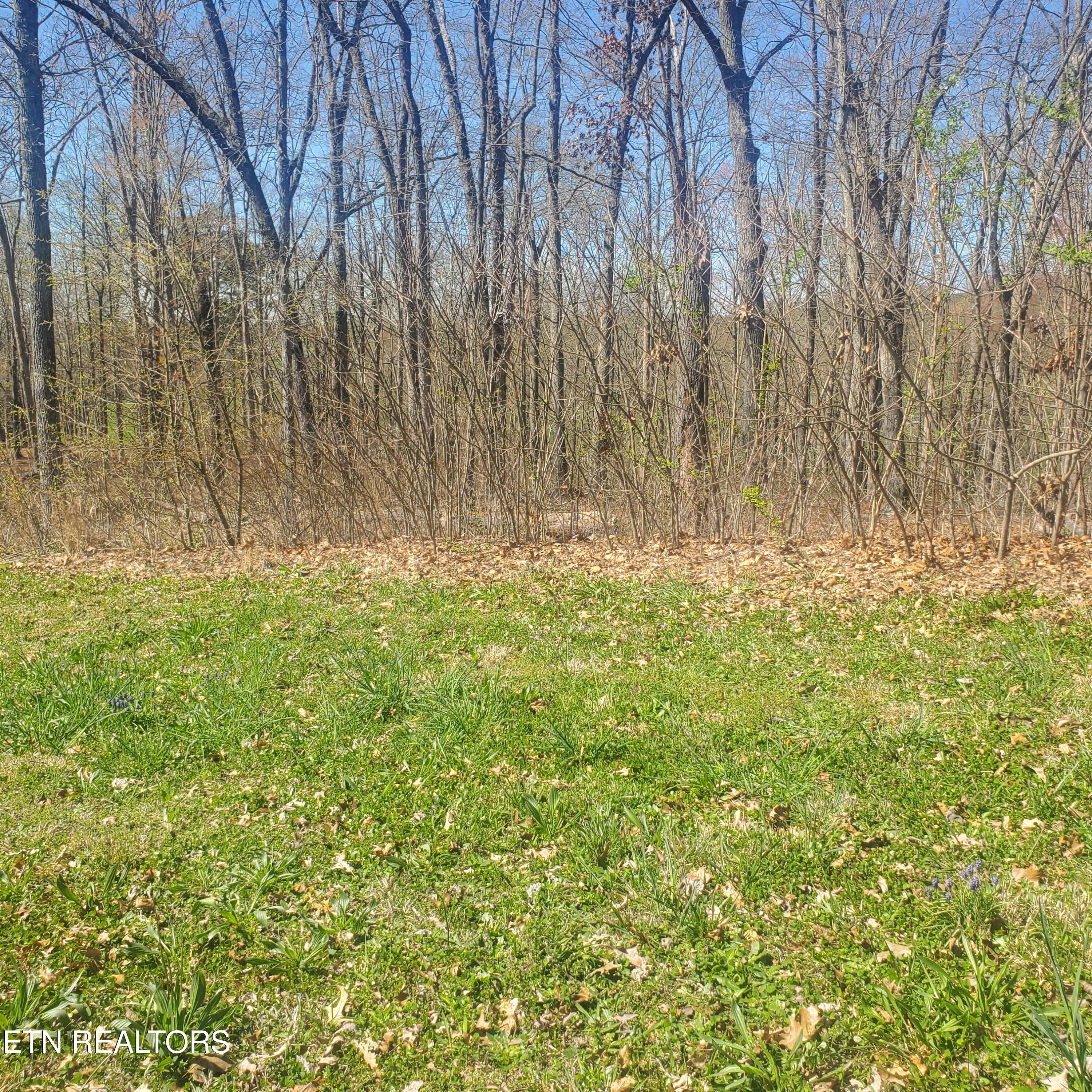 Lot 136 Tumbleweed Trail Rutledge, TN 37861 - Photo 7 of 26 Lot 136 Tumbleweed Trl - 7