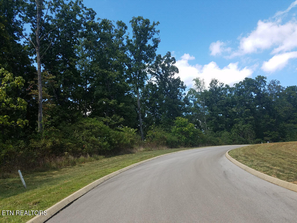 Lot 136 Tumbleweed Trail Rutledge, TN 37861 - Photo 10 of 26 Lot 136 Tumbleweed Trl - 10