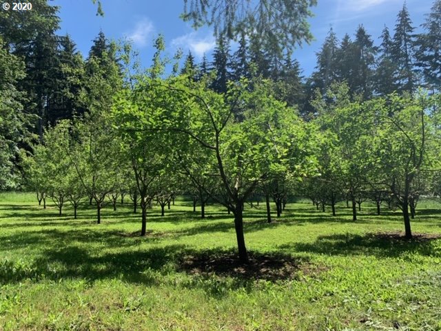 27705 Southeast Currin Road Estacada, OR 97023 - Photo 17 of 18 Gallery Image 17