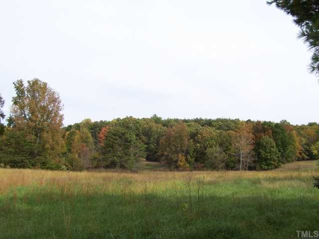 590 Howard Vaughan Road Rougemont, NC 27572 - Photo 6 of 12
