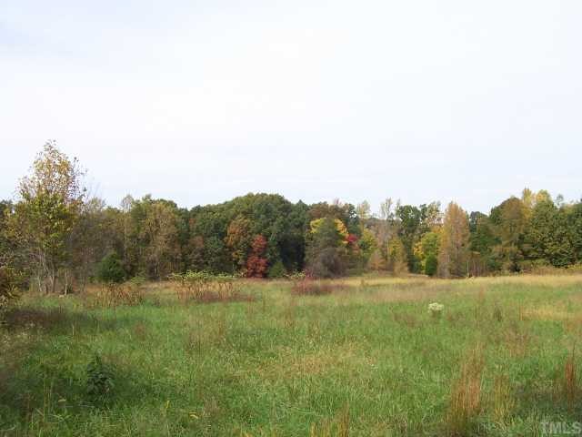 590 Howard Vaughan Road Rougemont, NC 27572 - Photo 7 of 12