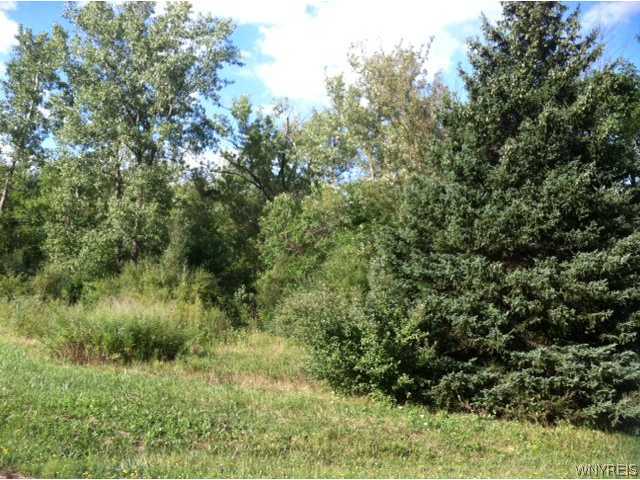 O Crane Road Oakfield, NY 14125 - Photo 1 of 1 Land