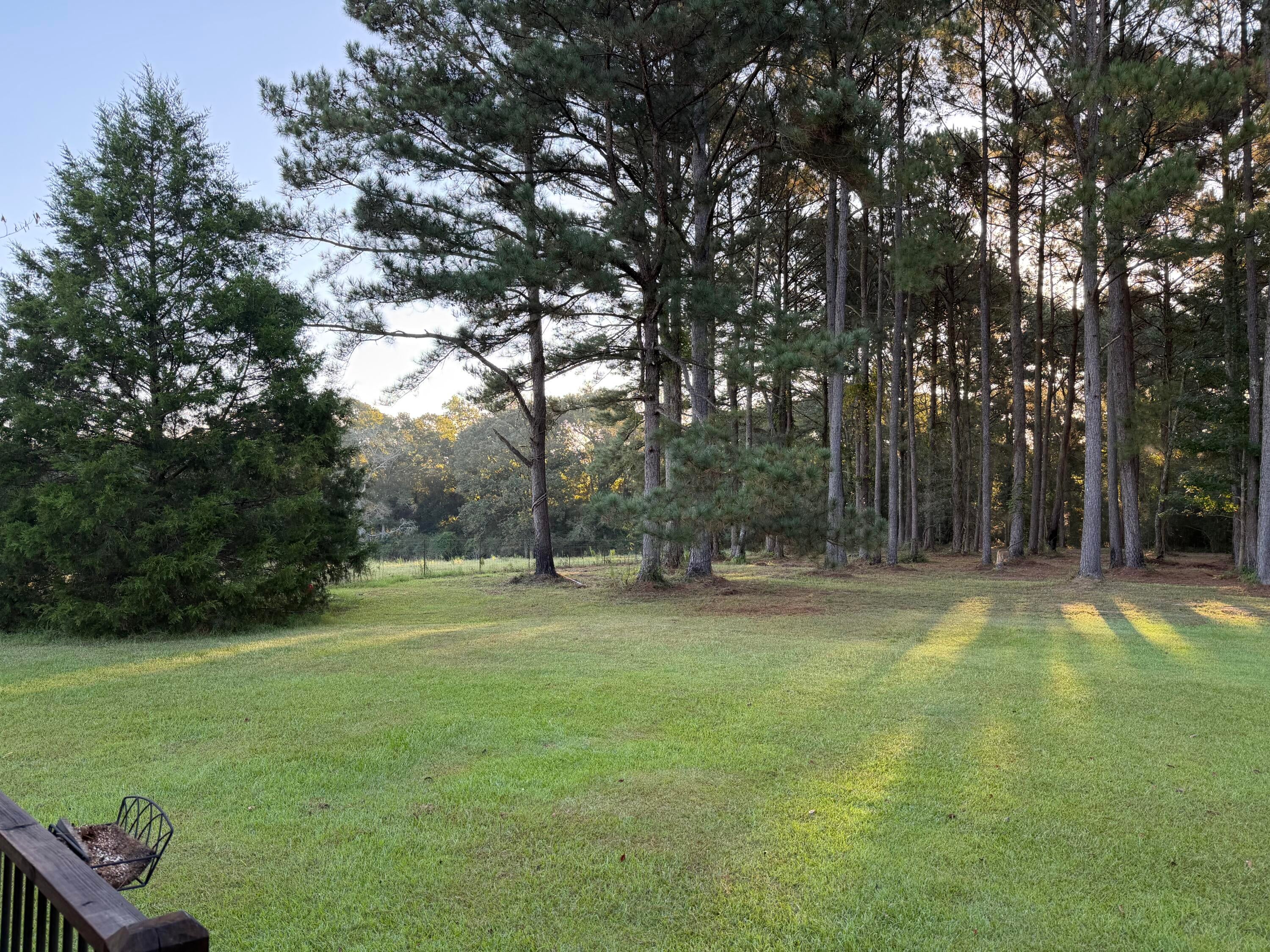 164 Walter Lott Road Seminary, MS 39479 - Photo 57 of 66 Gallery Image 57