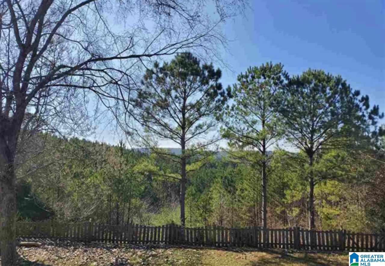 219 Grande View Parkway Alabaster, AL 35114 - Photo 28 of 43