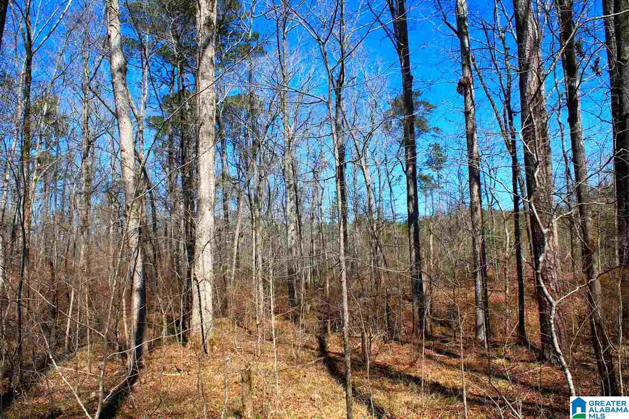 0 Alice Road McCalla, AL 35111 - Photo 4 of 9 Gallery Image 4
