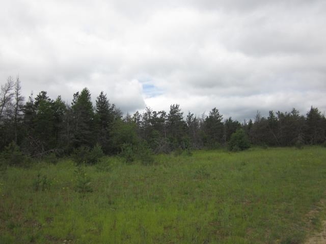 117 County Line Road Northeast Mancelona, MI 49659 - Photo 15 of 27 1787192-14.JPG