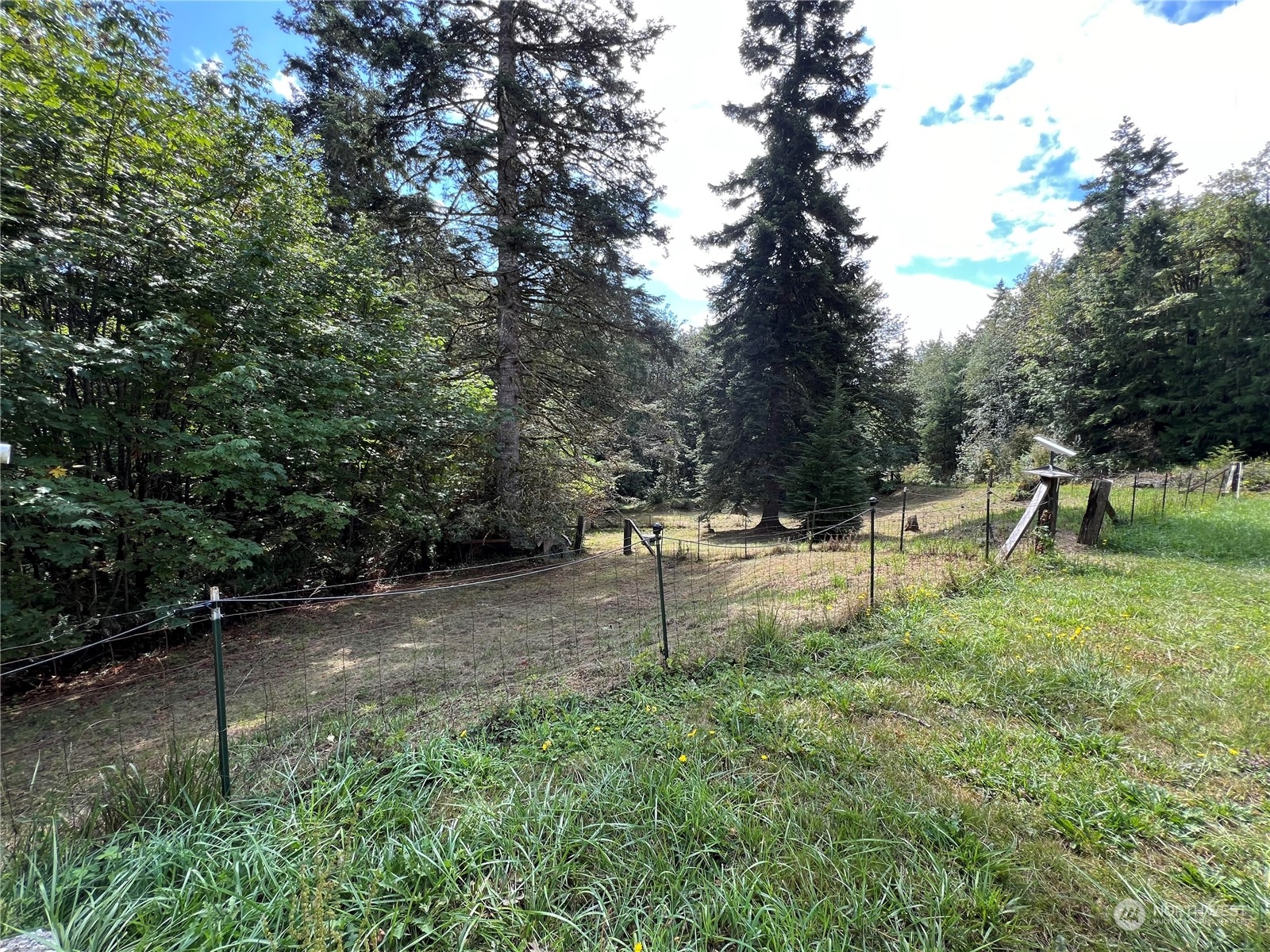 20 Larch Road Quilcene, WA 98376 - Photo 22 of 34 Gallery Image 22