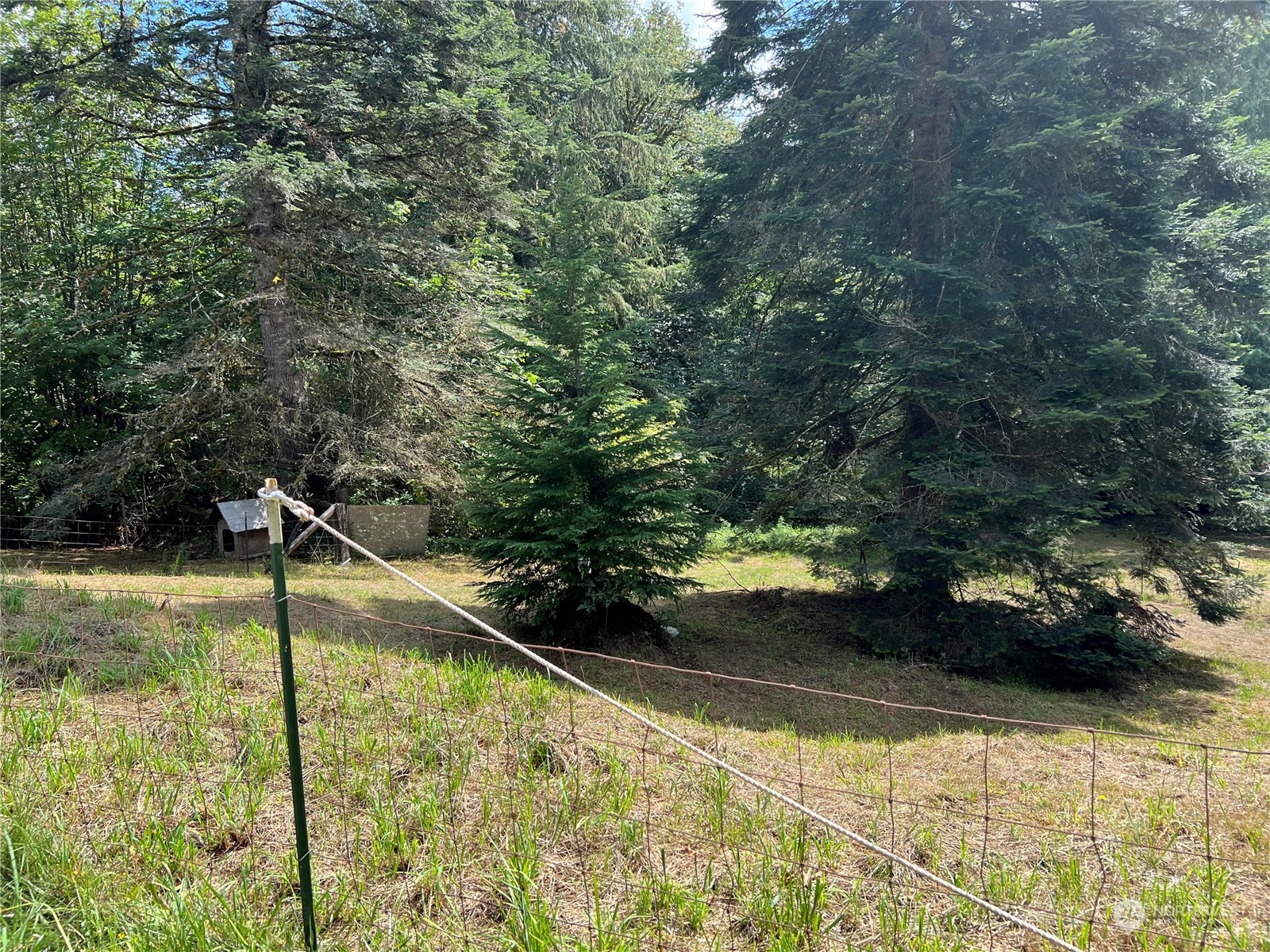 20 Larch Road Quilcene, WA 98376 - Photo 23 of 34 Gallery Image 23