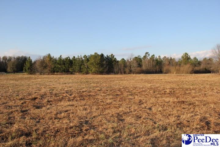 0 Mont Clare Road Darlington, SC 29540 - Photo 1 of 1 Gallery Image 1