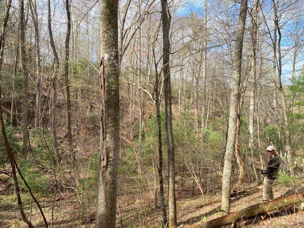 Tbd Sowers Road Northeast Floyd, VA 24091 - Photo 10 of 30 Gallery Image 10