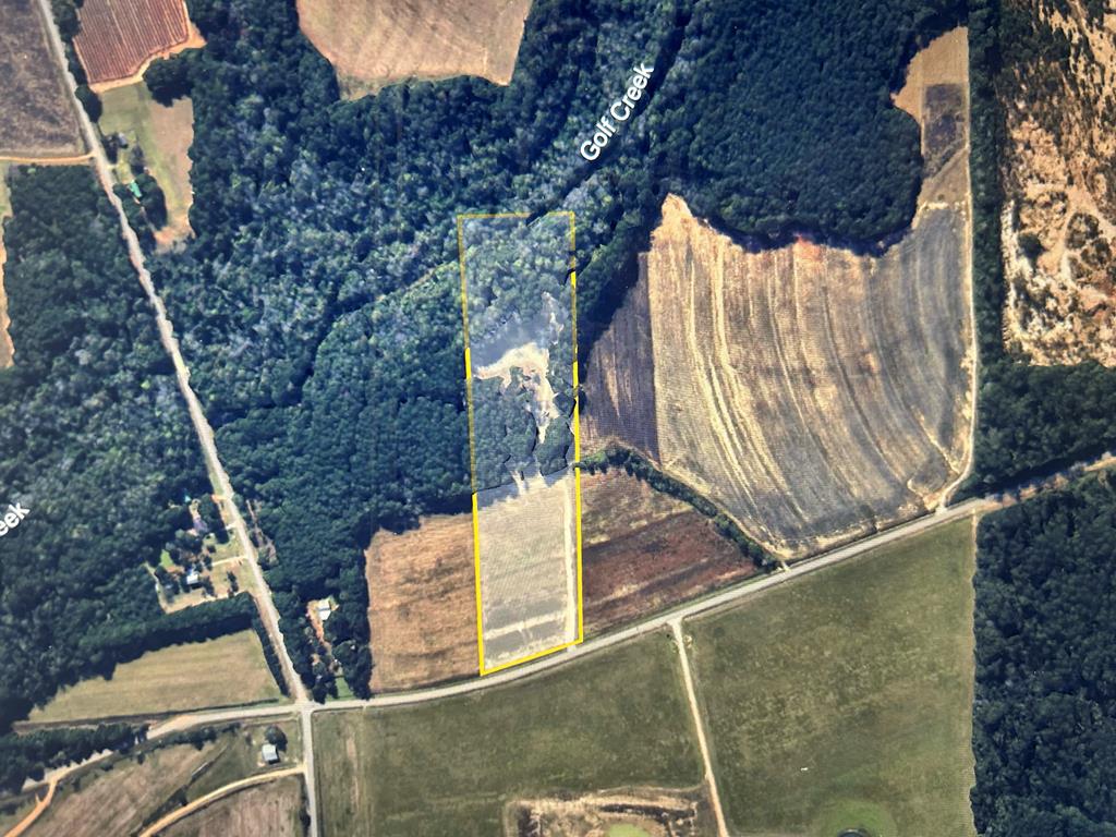 15-ac Webb Road Dothan, AL 36301 - Photo 6 of 33