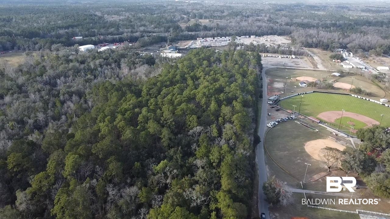0 Baldwin Road Satsuma, AL 36572 - Photo 9 of 26 Bird's eye view with a view of trees