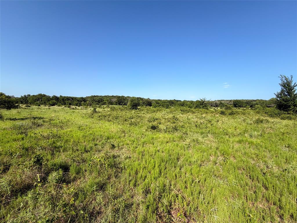Tbd Carminati Road Montague, TX 76251 - Photo 22 of 32