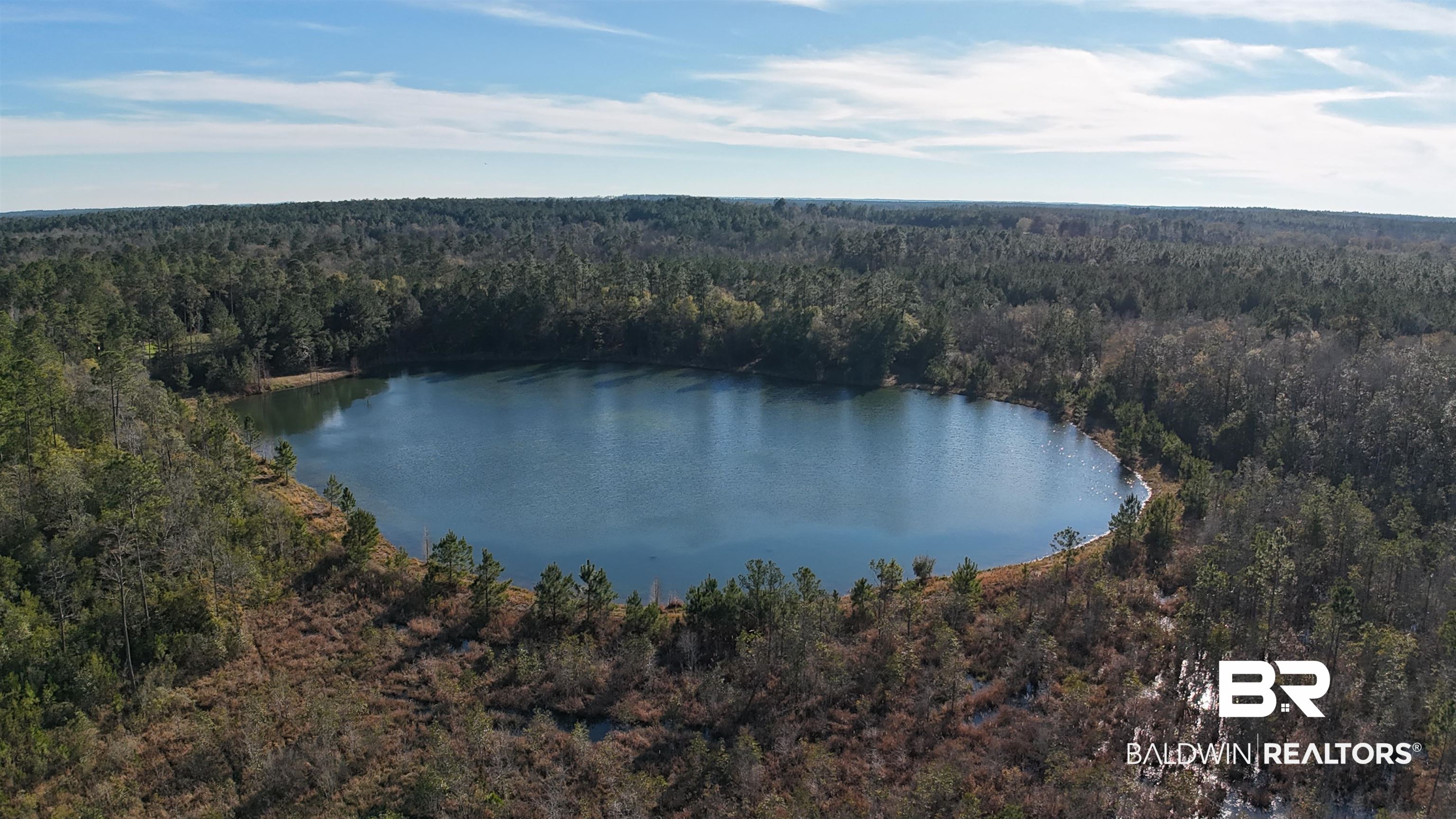 Bird's eye view featuring a wooded view and a water view