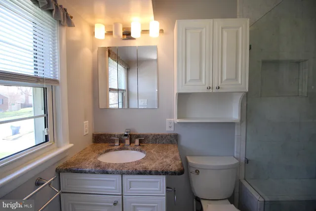 a bathroom with a granite countertop sink and a toilet