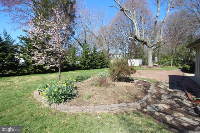 a view of a yard with plants