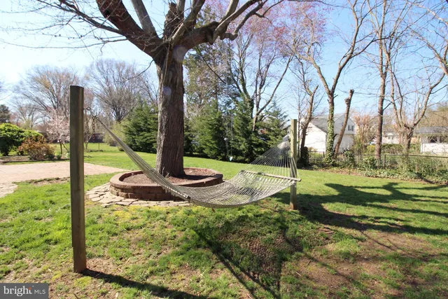 a view of a garden with a tree