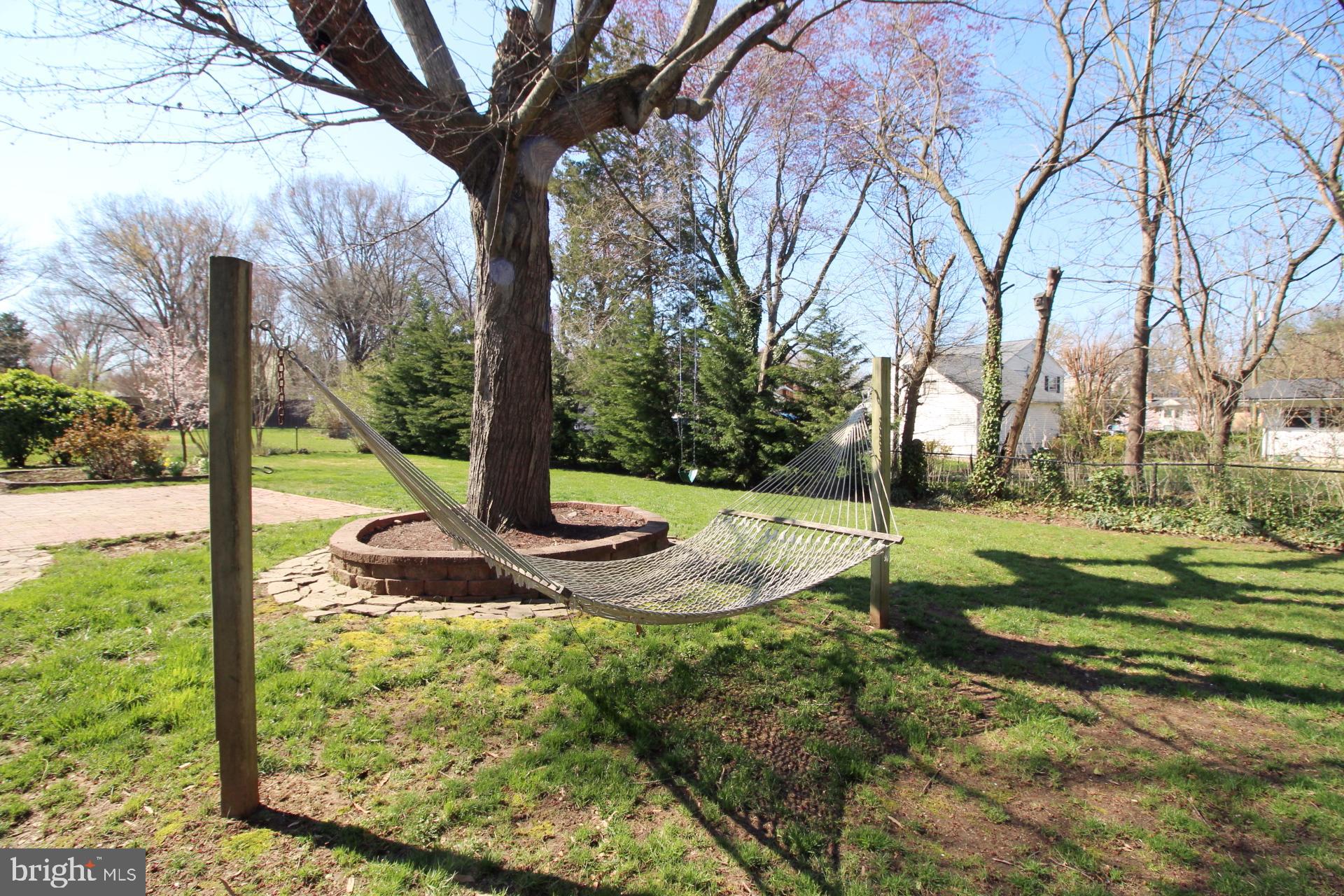 8504 Wagon Wheel Road Alexandria, VA 22309 - Photo 30 of 30 a view of a garden with a tree