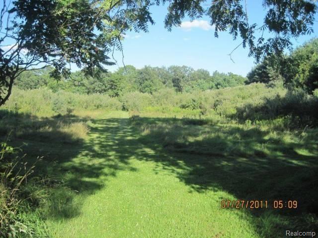 4903 Herd Road Metamora, MI 48455 - Photo 24 of 25 Yard 04