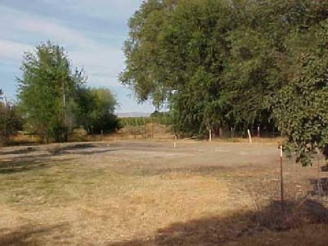 3101 Grandview Pavement Road Mabton, WA 98935 - Photo 6 of 6 a view of yard with trees