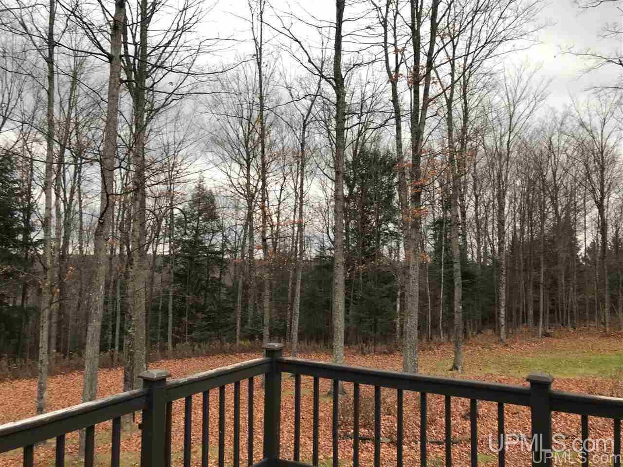 W1851 Peronto Road Foster City, MI 49834 - Photo 14 of 24
