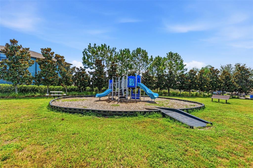 10257 Newminster Loop Ruskin, FL 33573 - Photo 45 of 52