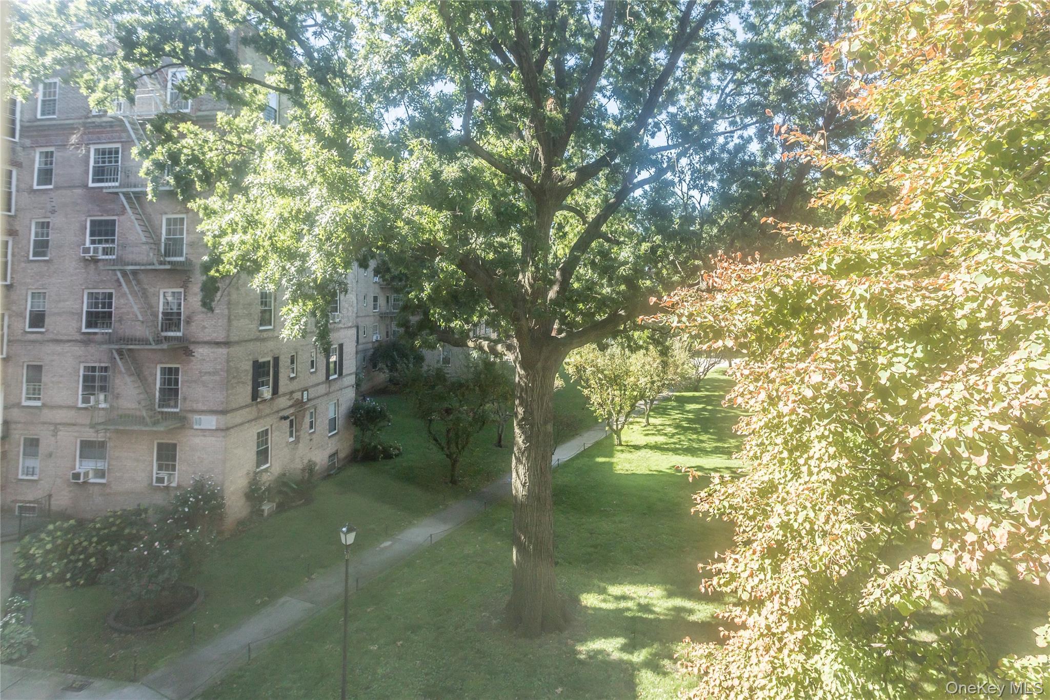 51-28 30th Avenue, Unit 3 Queens, NY 11377 - Photo 12 of 20 View of property's community featuring a yard