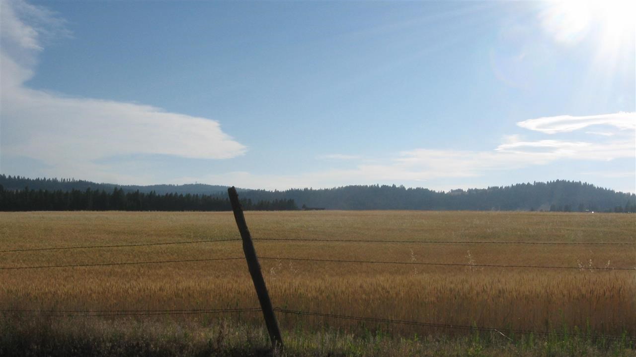 19-xxx North Austin Road, Unit D Colbert, WA 99005 - Photo 1 of 3
