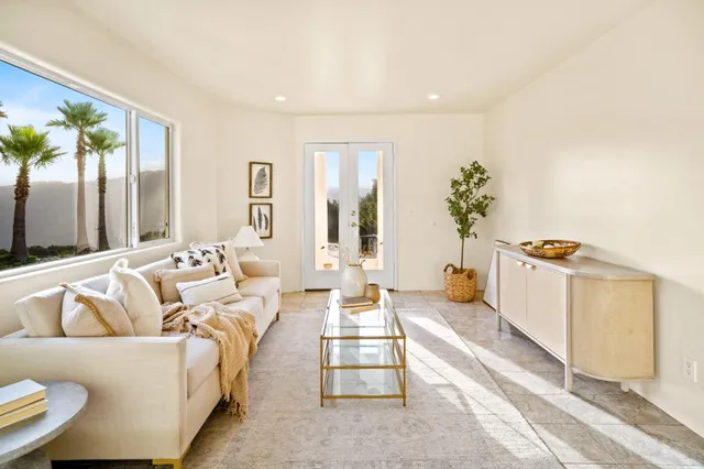 a living room with furniture and a potted plant