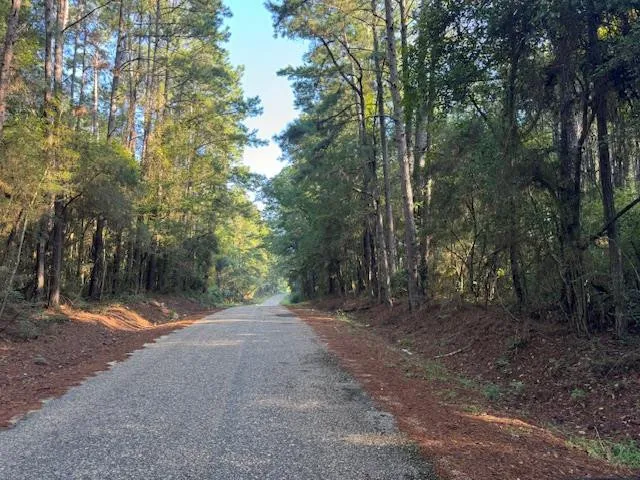 $45,000 | Tbd Cemetery Road, Tylertown, MS 39667