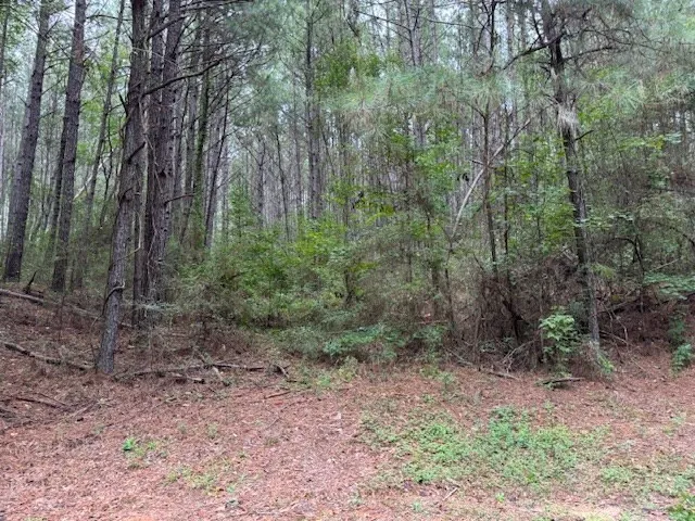 $45,000 | Tbd Cemetery Road, Tylertown, MS 39667