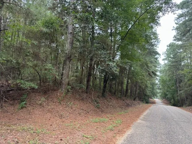 $45,000 | Tbd Cemetery Road, Tylertown, MS 39667