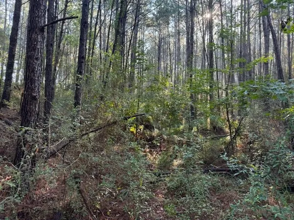 $45,000 | Tbd Cemetery Road, Tylertown, MS 39667