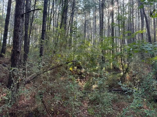 $45,000 | Tbd Cemetery Road, Tylertown, MS 39667