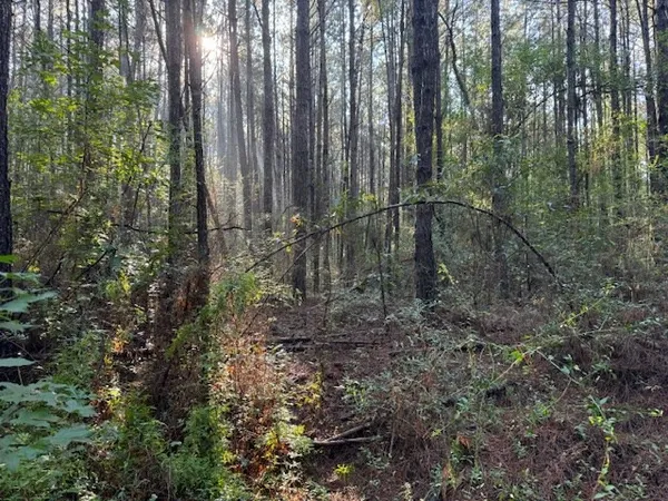 $45,000 | Tbd Cemetery Road, Tylertown, MS 39667