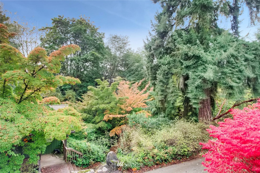 4537 Southwest Director Street Seattle, WA 98136 - Photo 16 of 25 Gallery Image 16