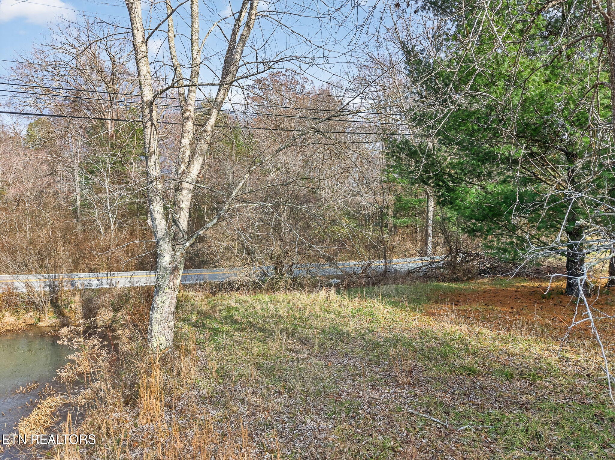 Pigeon Ridge Road Crossville, TN 38572 - Photo 11 of 14 16-web-or-mls-Pigeon Ridge RD_078_TNPC