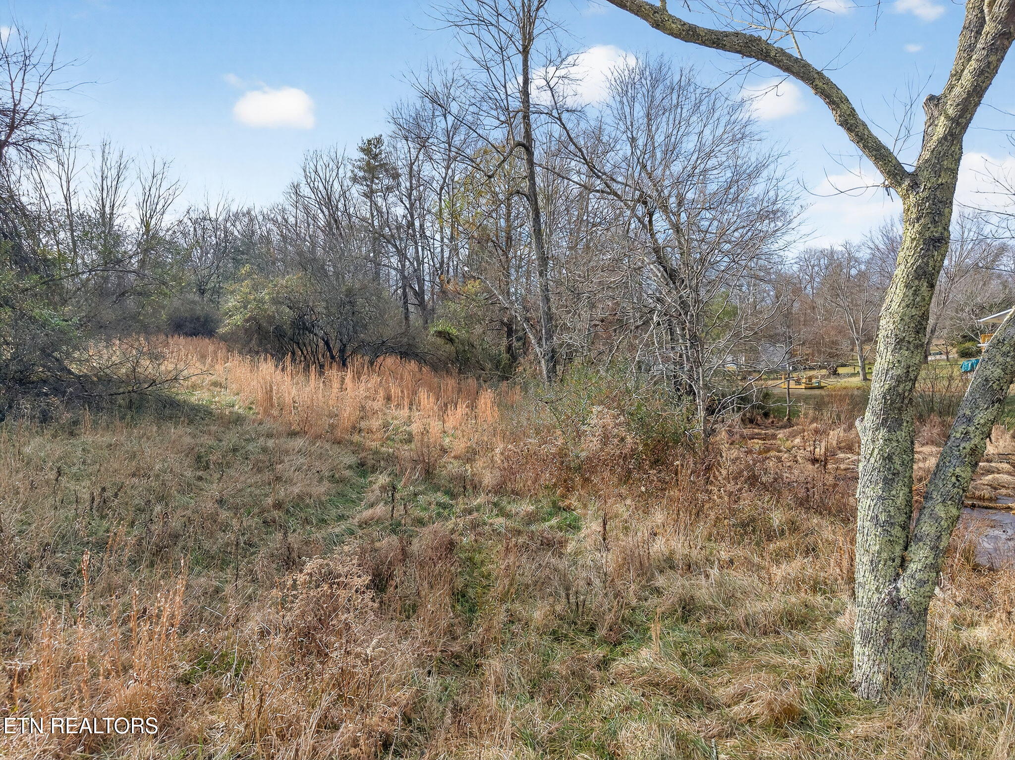 Pigeon Ridge Road Crossville, TN 38572 - Photo 13 of 14 18-web-or-mls-Pigeon Ridge RD_086_TNPC