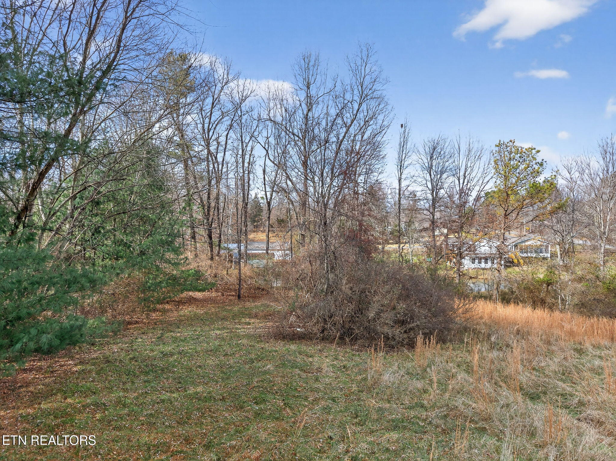 Pigeon Ridge Road Crossville, TN 38572 - Photo 8 of 14 11-web-or-mls-Pigeon Ridge RD_051_TNPC