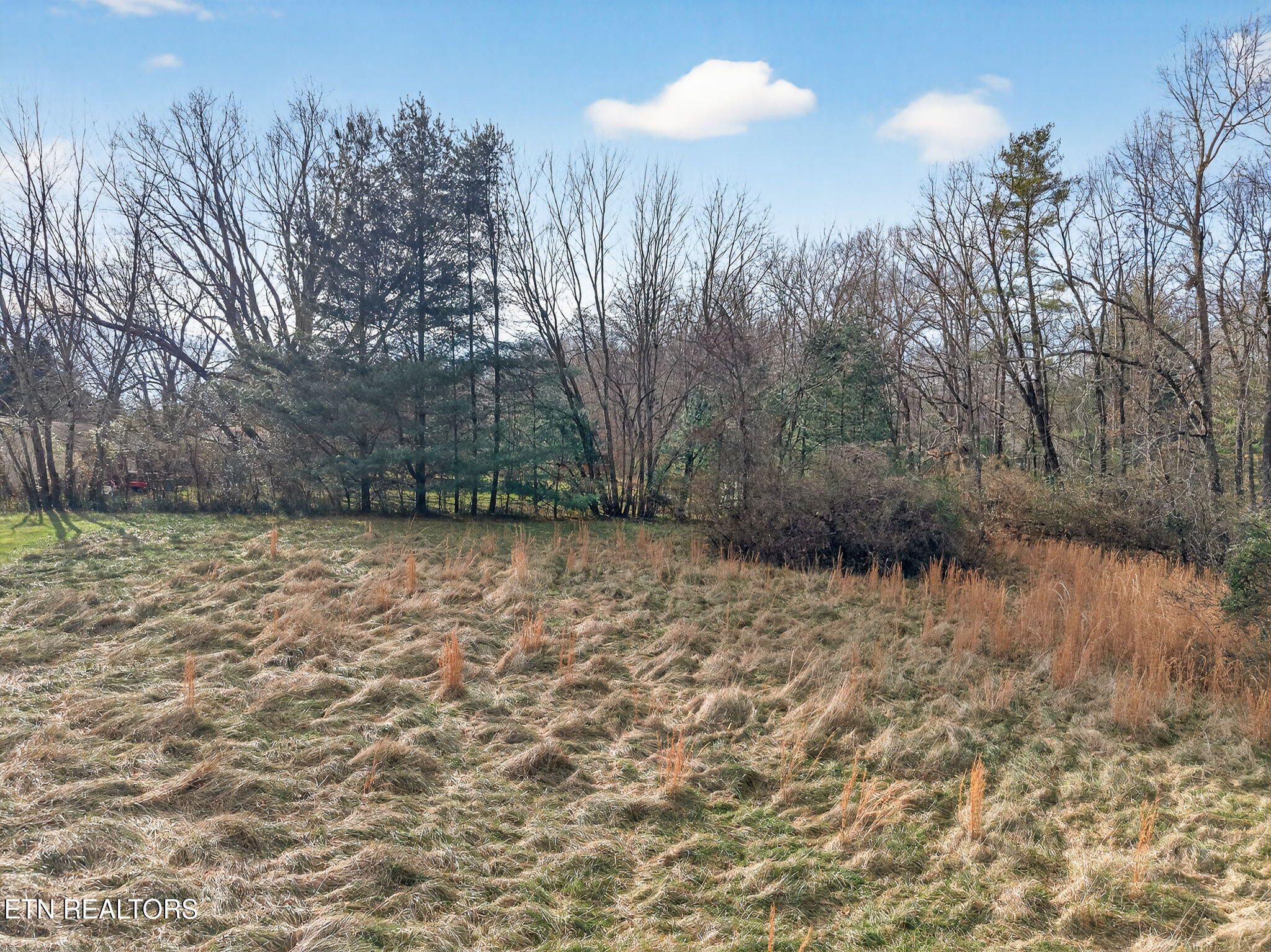 Pigeon Ridge Road Crossville, TN 38572 - Photo 9 of 14 13-web-or-mls-Pigeon Ridge RD_064_TNPC