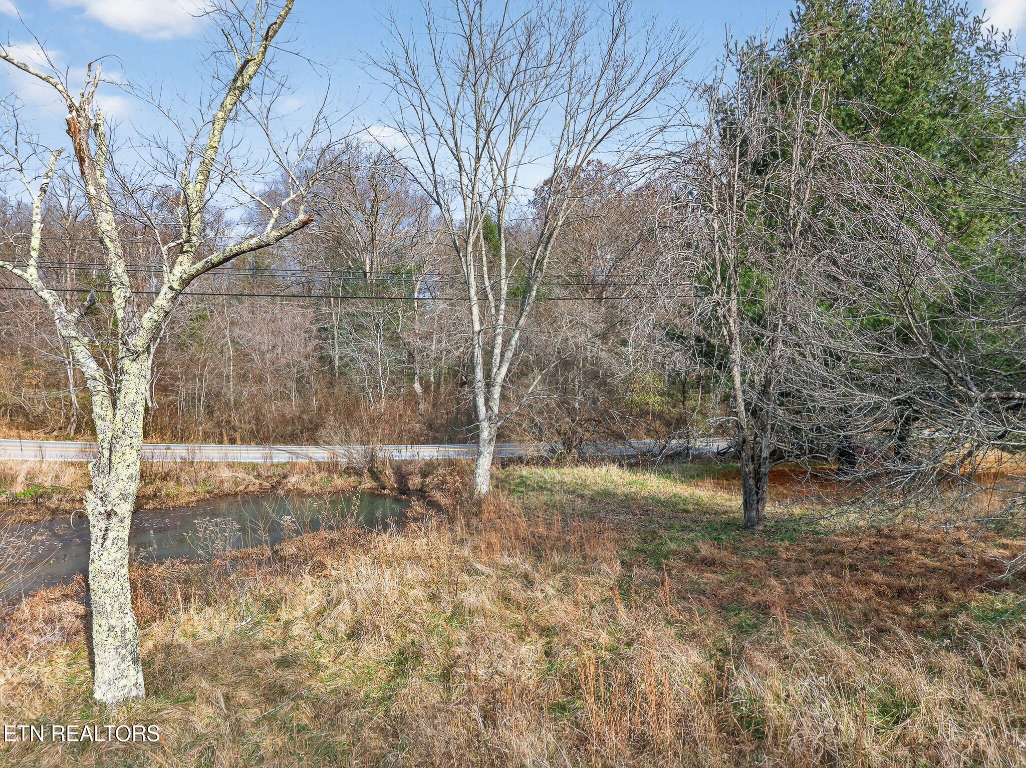 Pigeon Ridge Road Crossville, TN 38572 - Photo 10 of 14 15-web-or-mls-Pigeon Ridge RD_071_TNPC