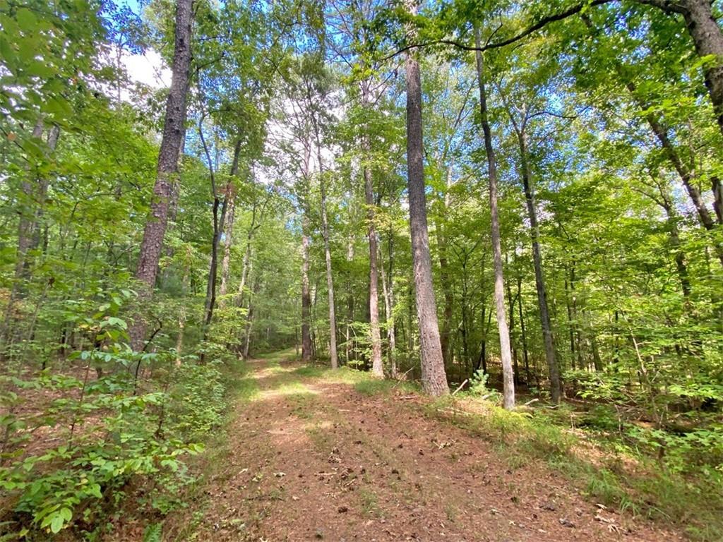 153-ac Whitepath Road Ellijay, GA 30540 - Photo 1 of 13 Gallery Image 1