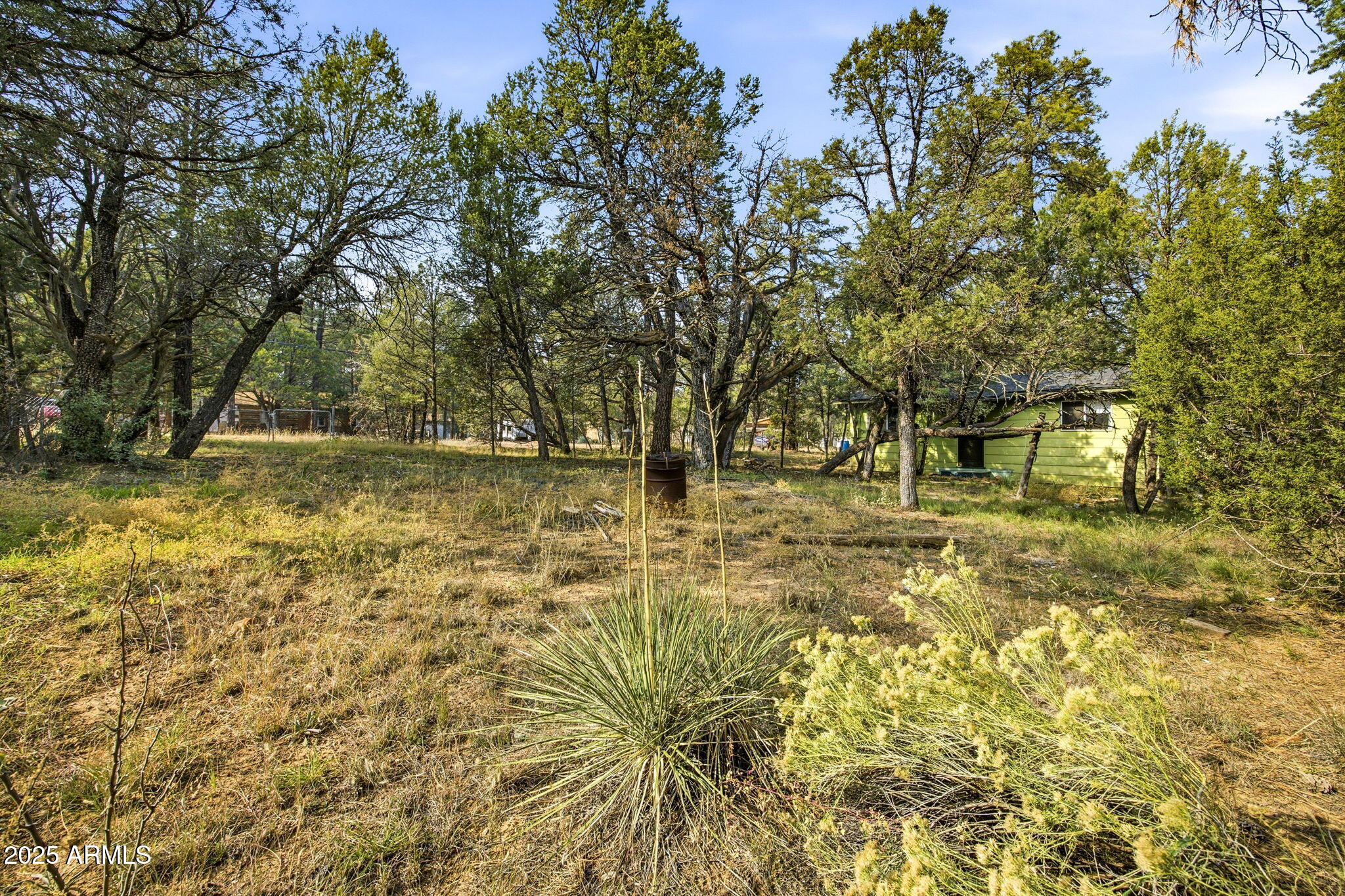2887 Center Road Overgaard, AZ 85933 - Photo 20 of 31 a view of yard with trees